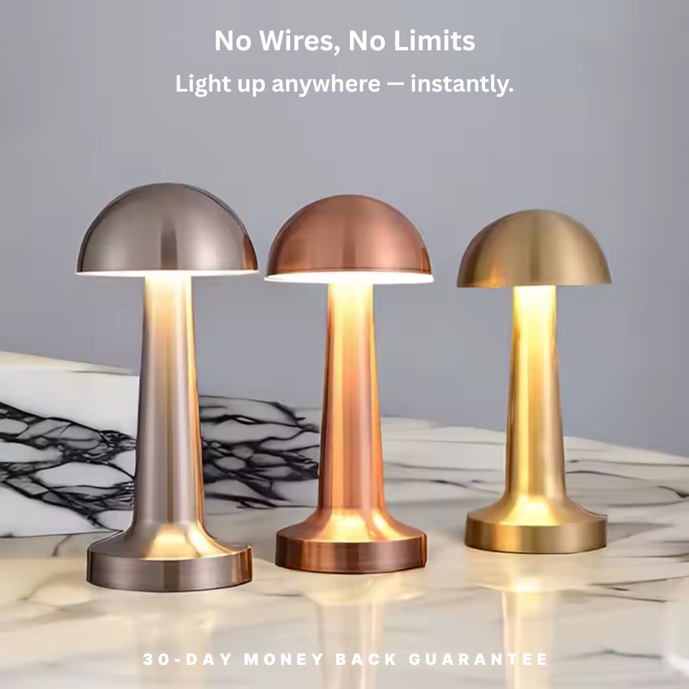 Cordless Dimmable Light