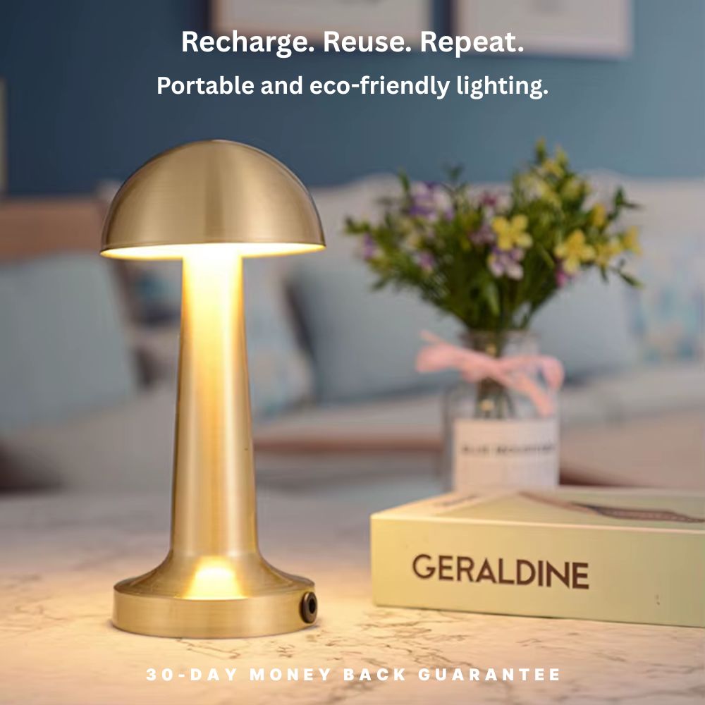 Cordless Dimmable Light