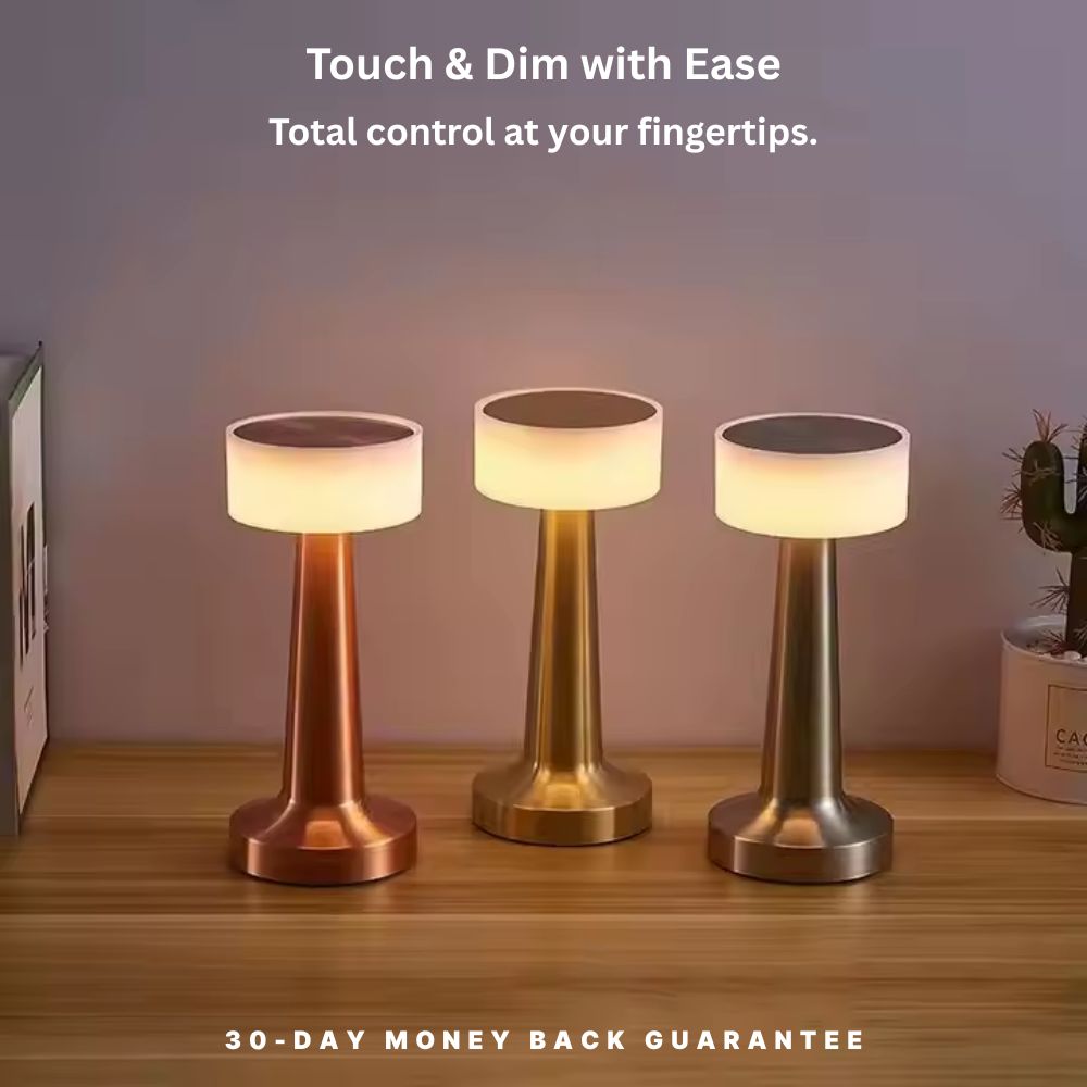 Cordless Dimmable Light