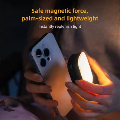 Compact Magnetic Light
